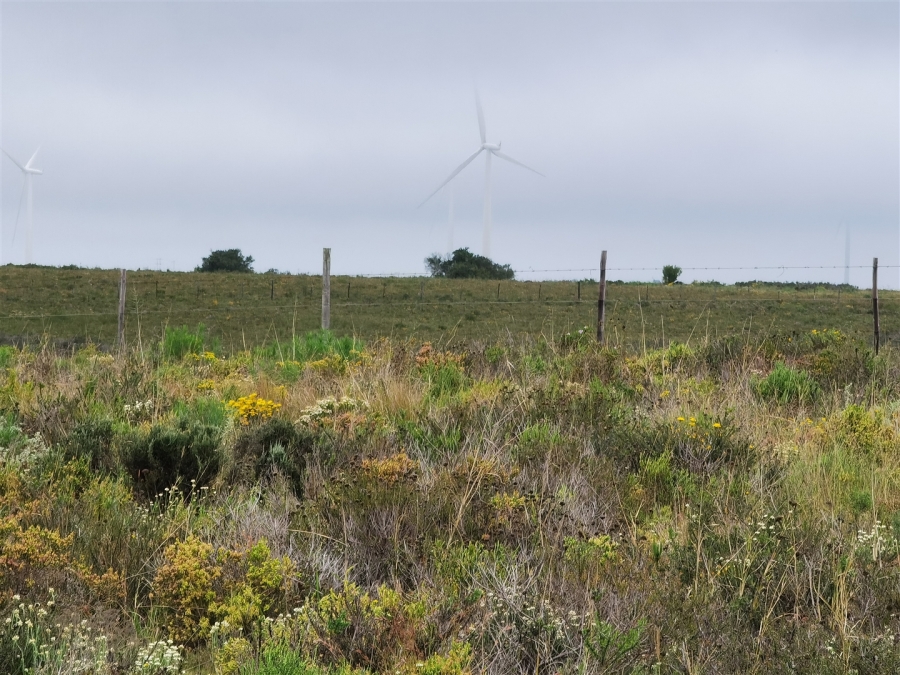 0 Bedroom Property for Sale in Kabeljauws Eastern Cape